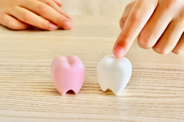 ただ並べるだけじゃない。噛み合わせのプロが教える「一生モノの矯正治療」の選び方